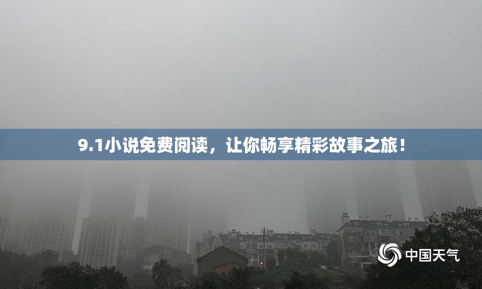 9.1小说免费阅读，让你畅享精彩故事之旅！