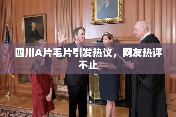 四川A片毛片引发热议，网友热评不止