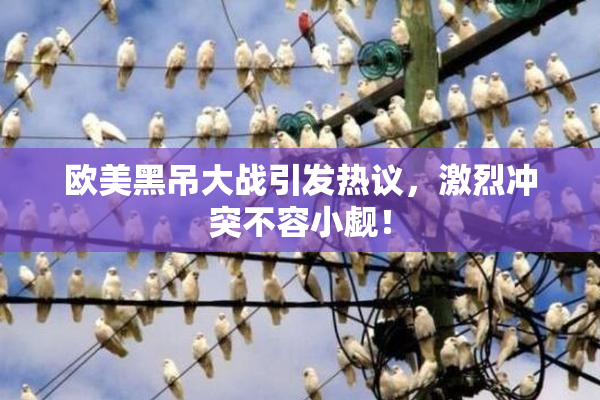 欧美黑吊大战引发热议，激烈冲突不容小觑！