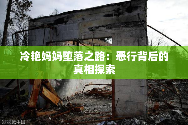 冷艳妈妈堕落之路：恶行背后的真相探索