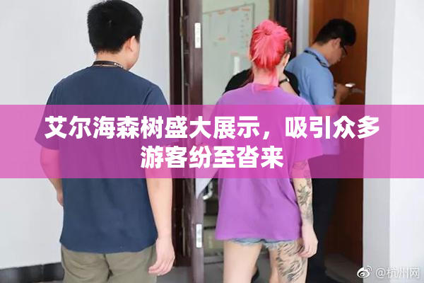 艾尔海森树盛大展示，吸引众多游客纷至沓来