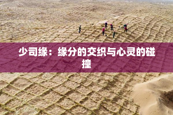 少司缘：缘分的交织与心灵的碰撞