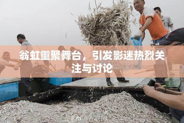 翁虹重聚舞台，引发影迷热烈关注与讨论