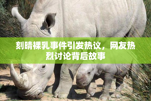 刻晴裸乳事件引发热议，网友热烈讨论背后故事