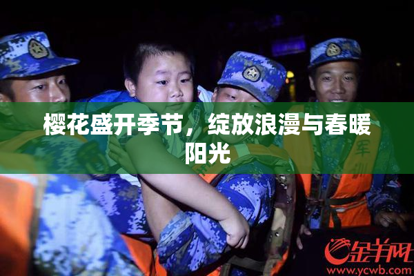樱花盛开季节，绽放浪漫与春暖阳光