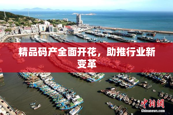 精品码产全面开花，助推行业新变革