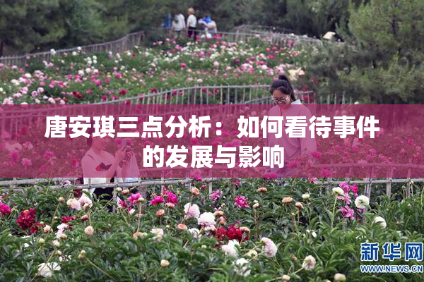 唐安琪三点分析：如何看待事件的发展与影响