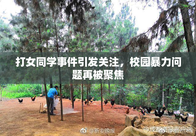 打女同学事件引发关注，校园暴力问题再被聚焦