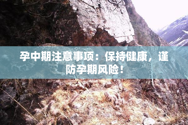孕中期注意事项：保持健康，谨防孕期风险！