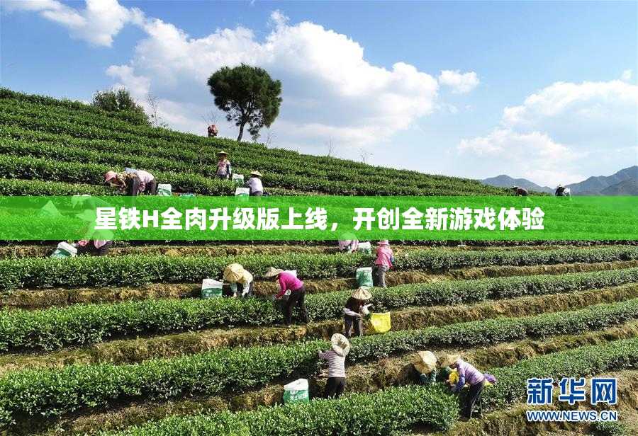 星铁H全肉升级版上线，开创全新游戏体验