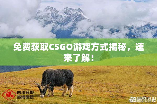免费获取CSGO游戏方式揭秘，速来了解！