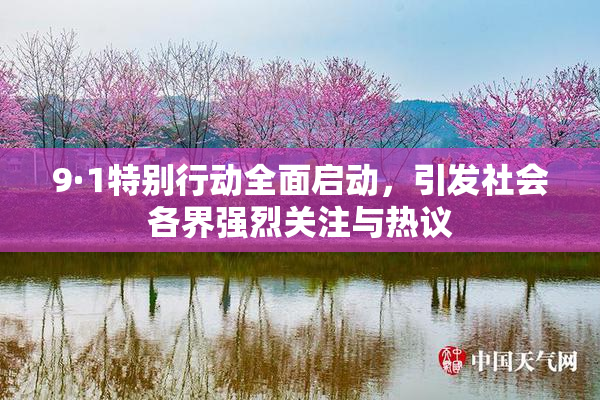 9·1特别行动全面启动，引发社会各界强烈关注与热议