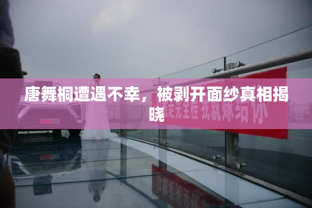 唐舞桐遭遇不幸，被剥开面纱真相揭晓