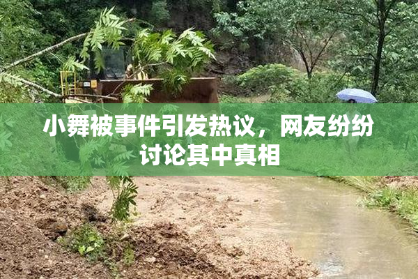 小舞被事件引发热议，网友纷纷讨论其中真相