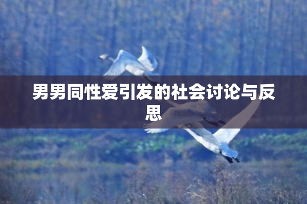 男男同性爱引发的社会讨论与反思