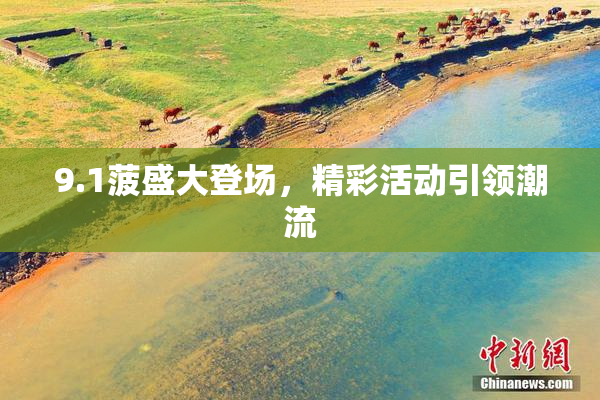 9.1菠盛大登场，精彩活动引领潮流