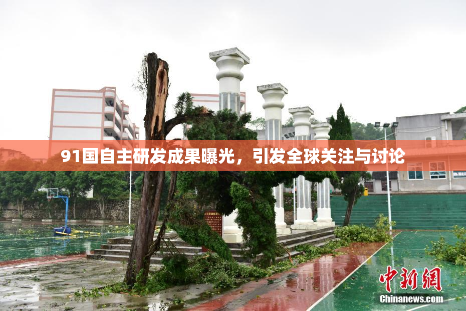 91国自主研发成果曝光，引发全球关注与讨论