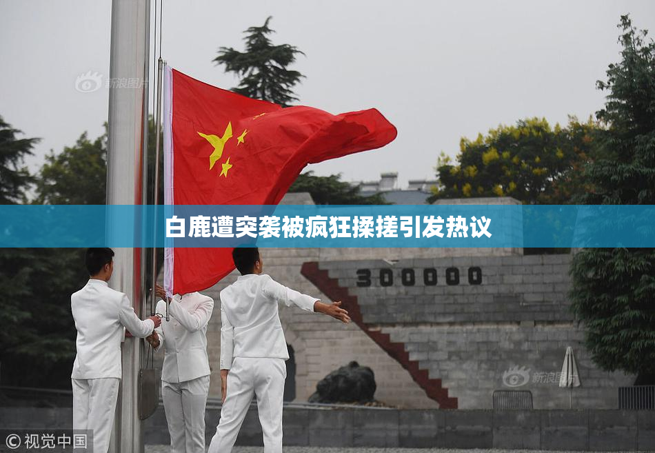 白鹿遭突袭被疯狂揉搓引发热议