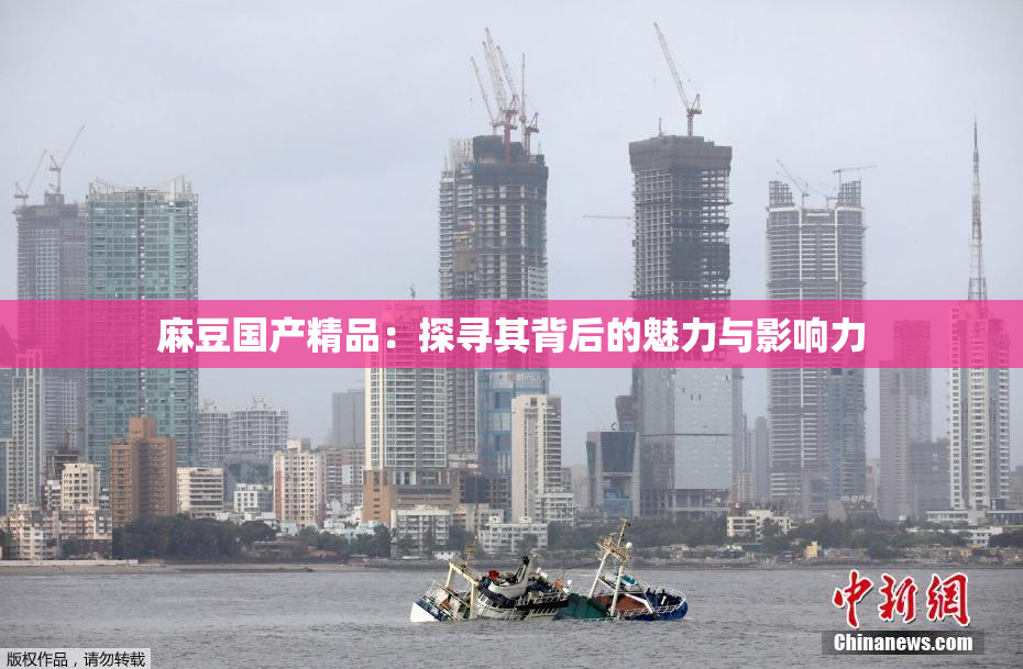 麻豆国产精品：探寻其背后的魅力与影响力