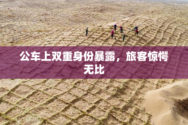 公车上双重身份暴露，旅客惊愕无比