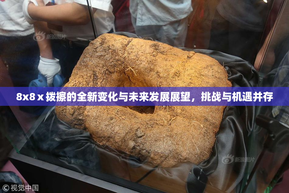 8x8ⅹ拨擦的全新变化与未来发展展望，挑战与机遇并存