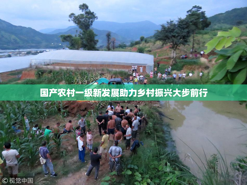 国产农村一级新发展助力乡村振兴大步前行