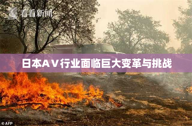 日本AⅤ行业面临巨大变革与挑战