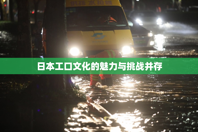 日本工口文化的魅力与挑战并存