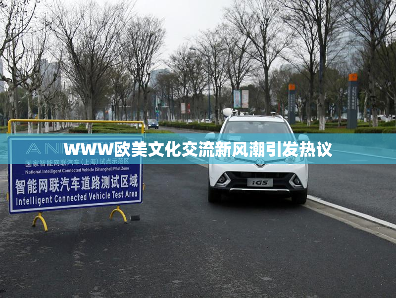 WWW欧美文化交流新风潮引发热议