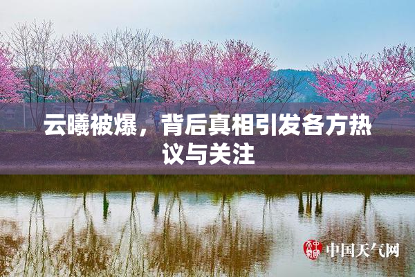 云曦被爆，背后真相引发各方热议与关注