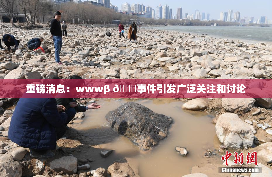 重磅消息：wwwβ 👙事件引发广泛关注和讨论
