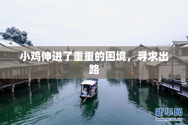 小鸡伸进了重重的困境，寻求出路