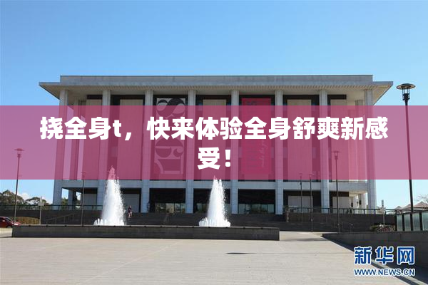 挠全身t，快来体验全身舒爽新感受！
