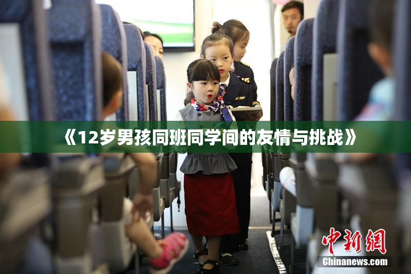 《12岁男孩同班同学间的友情与挑战》