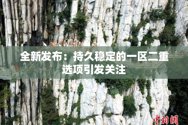全新发布：持久稳定的一区二重选项引发关注