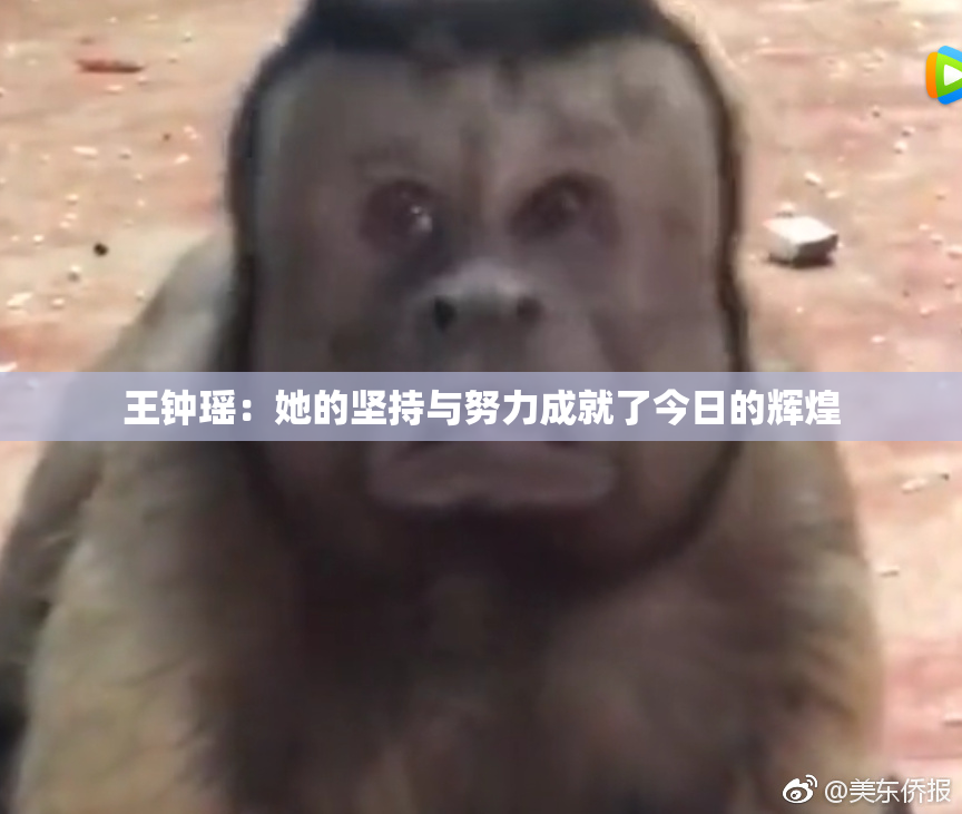 王钟瑶：她的坚持与努力成就了今日的辉煌