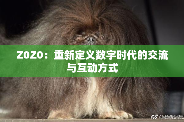 Z0Z0：重新定义数字时代的交流与互动方式