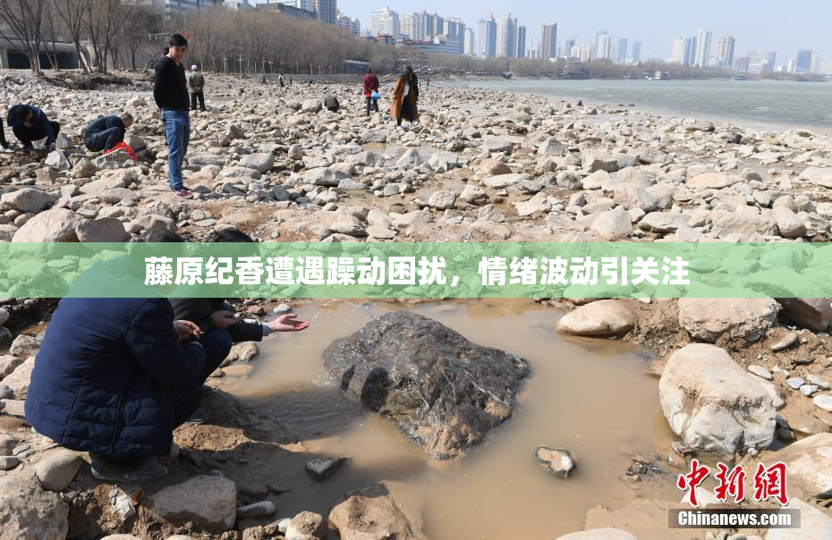 藤原纪香遭遇躁动困扰，情绪波动引关注