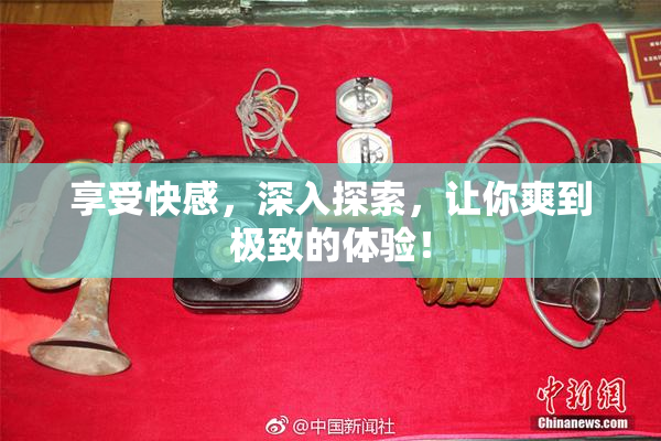 享受快感，深入探索，让你爽到极致的体验！