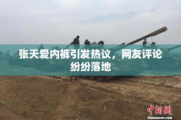张天爱内裤引发热议，网友评论纷纷落地