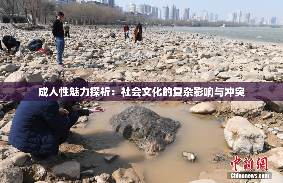 成人性魅力探析：社会文化的复杂影响与冲突
