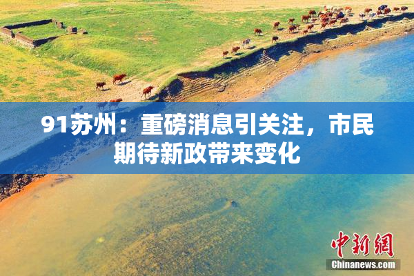 91苏州：重磅消息引关注，市民期待新政带来变化
