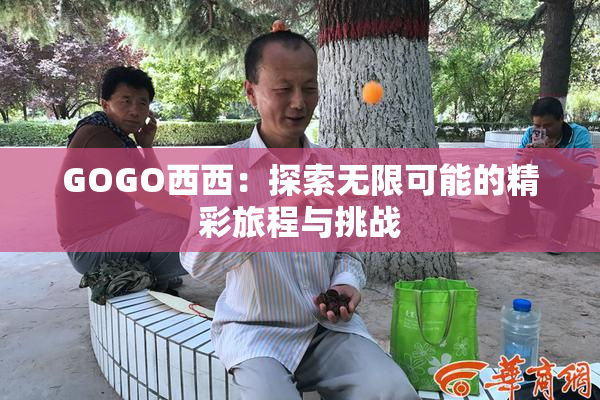 GOGO西西：探索无限可能的精彩旅程与挑战