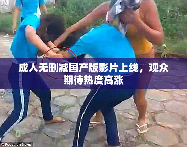 成人无删减国产版影片上线，观众期待热度高涨