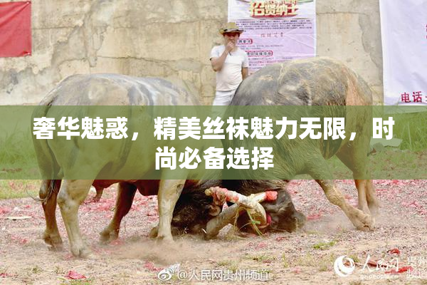 奢华魅惑，精美丝袜魅力无限，时尚必备选择