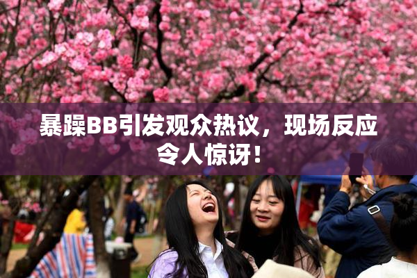 暴躁BB引发观众热议，现场反应令人惊讶！
