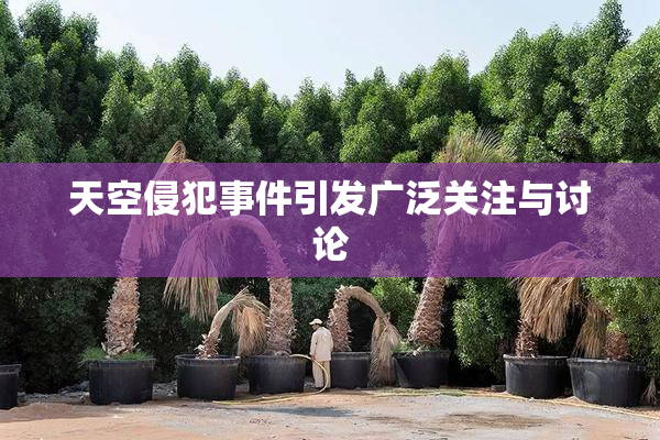 天空侵犯事件引发广泛关注与讨论