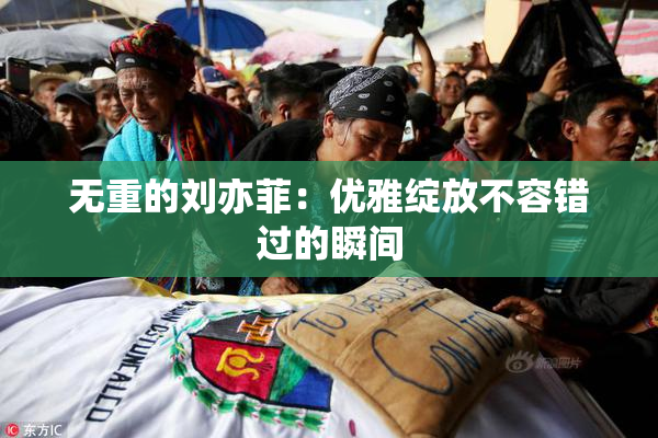 无重的刘亦菲：优雅绽放不容错过的瞬间