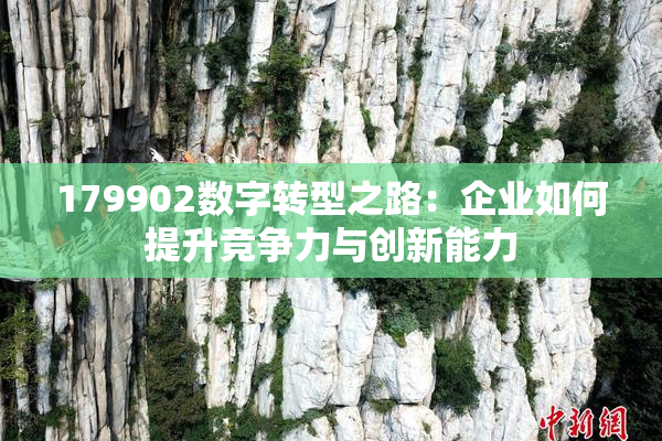 179902数字转型之路：企业如何提升竞争力与创新能力
