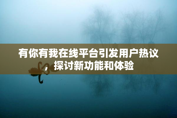 有你有我在线平台引发用户热议，探讨新功能和体验